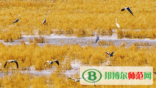 滄州師范學院周邊環境