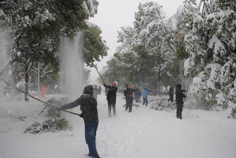 淮南師范學(xué)院召開抗雪防災(zāi)工作會議，加強(qiáng)校園安全工作