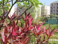 廣西科技師范學院來賓校區2023年招生辦聯系電話