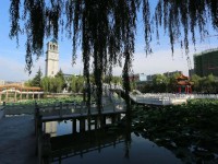 西安外事師范學院2023年招生錄取分數線