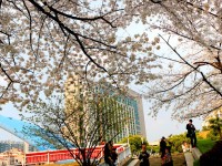 浙江工業師范大學朝暉校區2023年招生錄取分數線