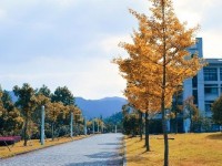 2021年浙江科技師范學院小和山校區排名