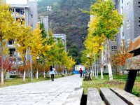 吉首師范大學張家界學院2023年招生錄取分數線