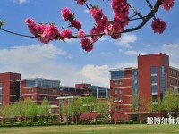 河北大學師范學院新校區2023年招生辦聯系電話