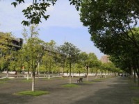 四川大學師范學院江安校區2023年學費、收費多少