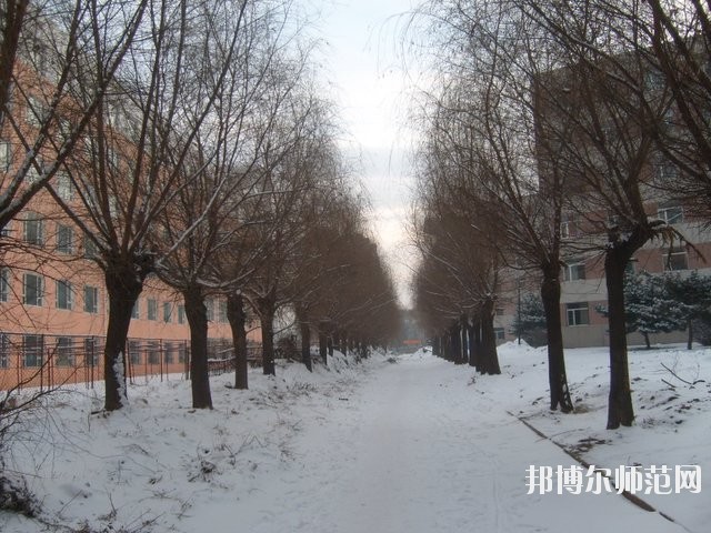 長春大學師范學院西校區招生辦聯系電話