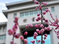 延安大學師范學院楊家嶺校區2023年學費、收費多少