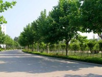 青島科技師范大學高密校區2023年招生簡章