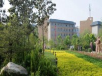 三門峽職業(yè)技術師范學院2023年招生錄取分數線