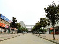 許昌職業(yè)技術師范學院2023年招生錄取分數線