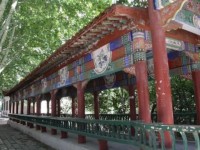 漯河職業(yè)技術師范學院2023年招生錄取分數線