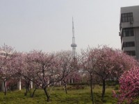 漯河職業(yè)技術師范學院歷年招生錄取分數線