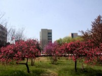 漯河職業(yè)技術(shù)師范學(xué)院2023年學(xué)費(fèi)、收費(fèi)多少