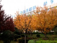 陜西職業技術師范學院2023年招生錄取分數線