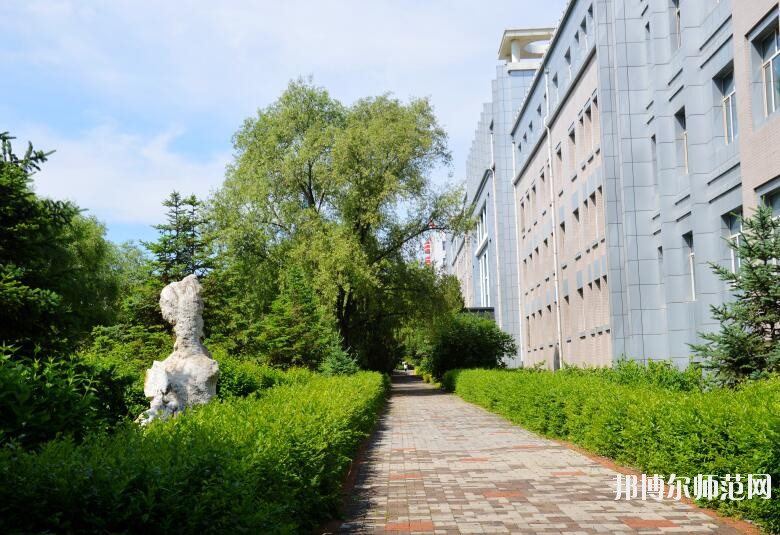 黑龍江林業職業技術師范學院招生辦聯系電話