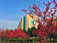 陜西中醫(yī)藥師范大學(xué)南校區(qū)歷年招生錄取分數(shù)線