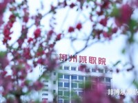 柳州城市職業師范學院2023年是幾專