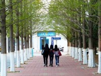 內(nèi)蒙古豐州職業(yè)師范學(xué)院2023年學(xué)費(fèi)、收費(fèi)多少