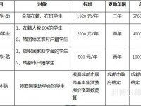 四川文軒職業幼兒師范學校2023年學費、收費多少