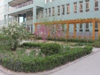 保定女子職業幼兒師范中專學校2023年招生錄取分數線