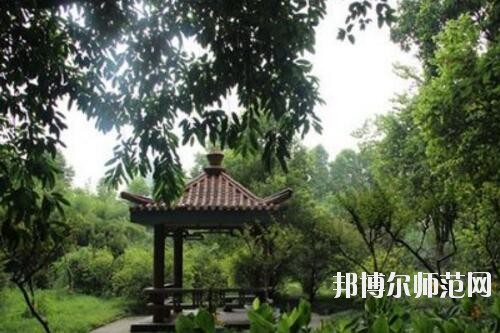 畢節地區幼師信息工程學校2023年有哪些專業