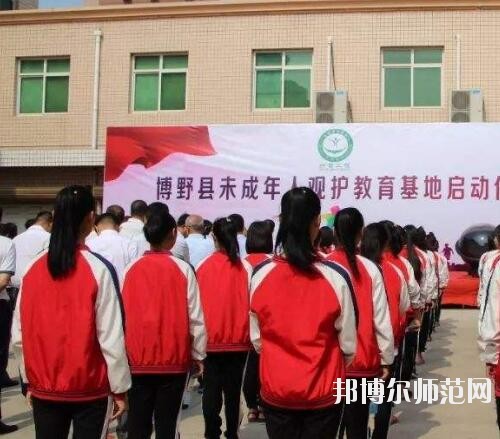師范網6