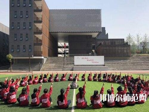 師范網6