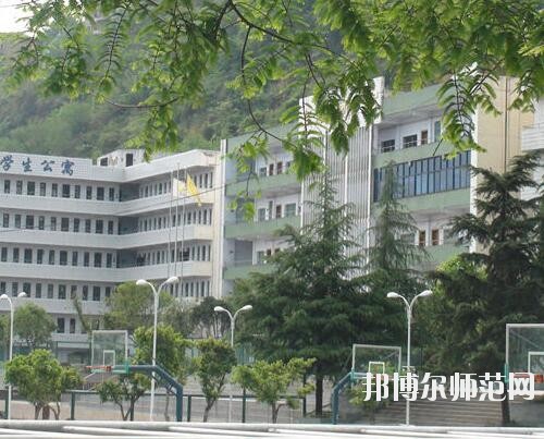 師范網6
