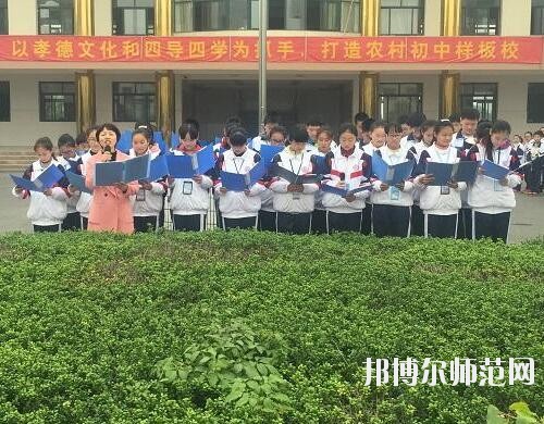 師范網2