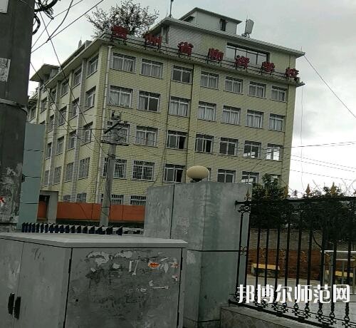 師范網4