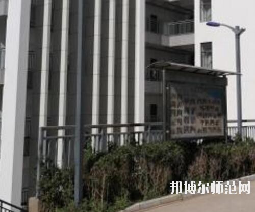 師范網6