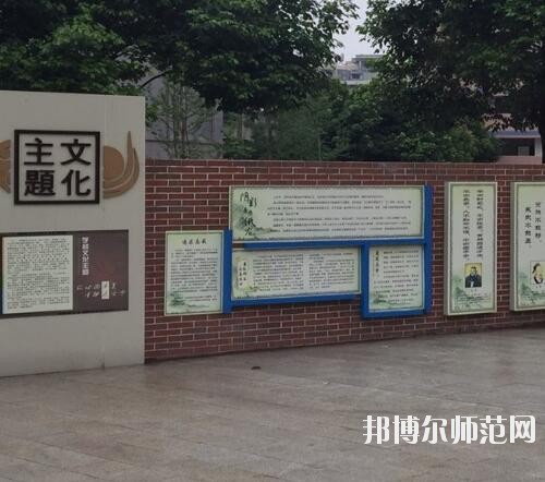 師范網6