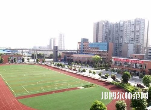 師范網5