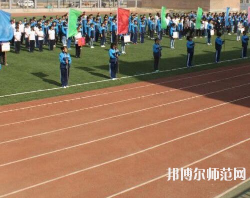 師范網5