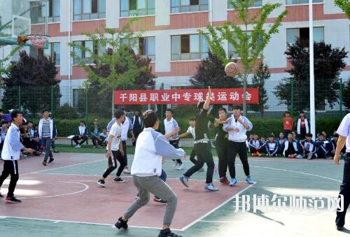 師范網6