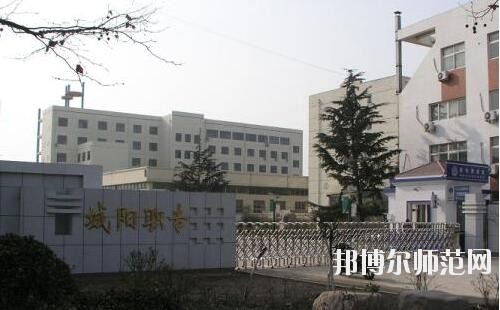 師范網6