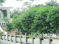 德陽通用電子科技幼兒師范學校2021年報名條件、招生要求、招生對象