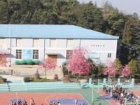 云南林業(yè)幼兒師范高級技工學(xué)校2023年學(xué)費、收費多少