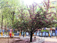 石家莊法商幼兒師范中等專業學校2023年報名條件、招生要求、招生對象