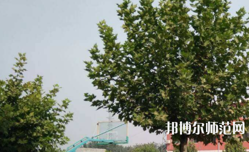 石家莊工業幼兒師范中等專業學校地址在哪里