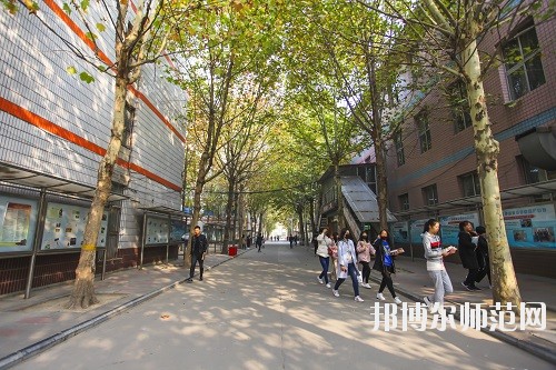 石家莊華師經濟管理幼兒師范中等專業學校2020年有哪些專業