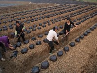 四川興文縣職業技術幼兒師范學校2023年地址在哪里