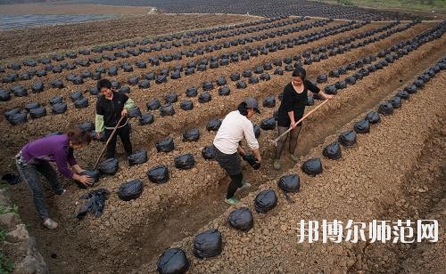 四川興文縣職業技術幼兒師范學校地址在哪里