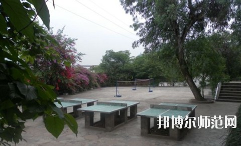 宜賓遠大職業技術幼兒師范學校地址在哪里