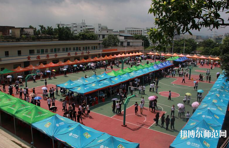 廣東2020年哪所幼師學校比較好就業
