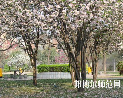 鄭州2020年哪個(gè)學(xué)校有幼師學(xué)校