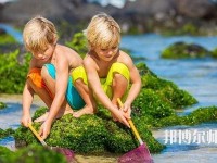 貴陽2020年哪個幼師學校就業最好