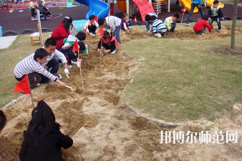 貴陽2020年有幾個(gè)幼師學(xué)校