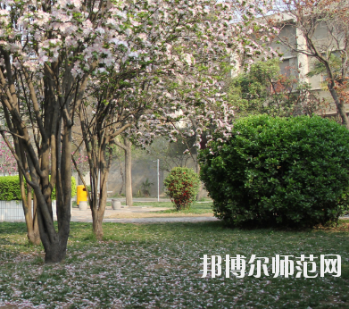 鄭州2020年哪個幼師學校就業最好
