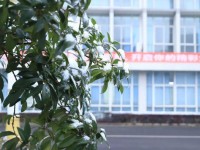 德陽科貿職業學院幼師升學班2023年地址在哪里